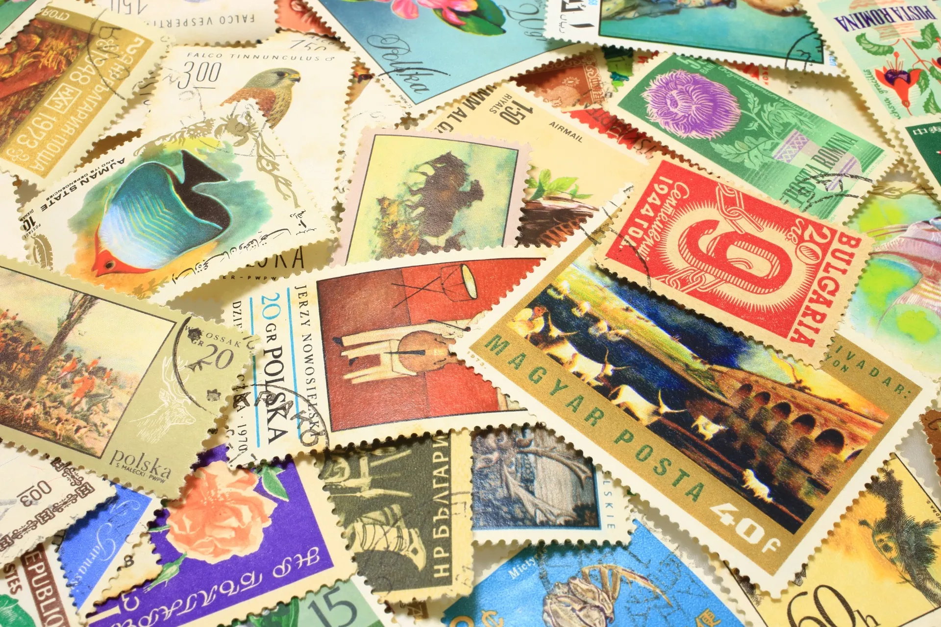 買取実績をご紹介